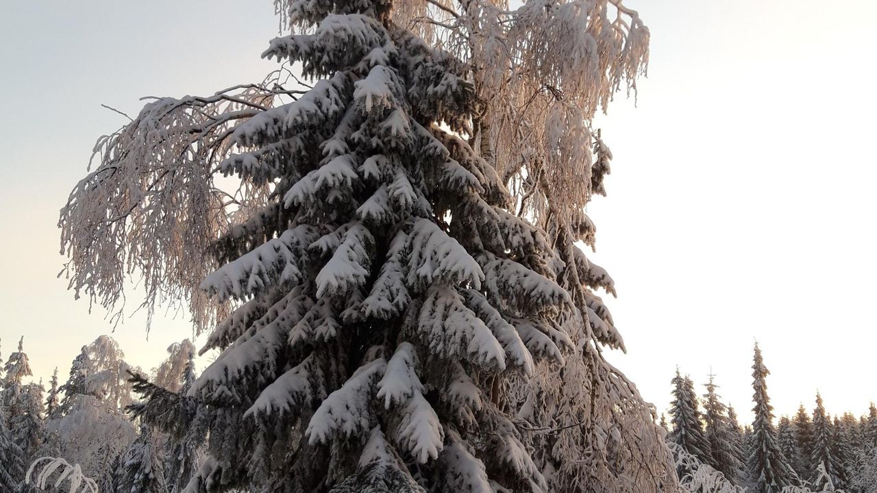 20211212_081556_resized 20211212_081556_resized